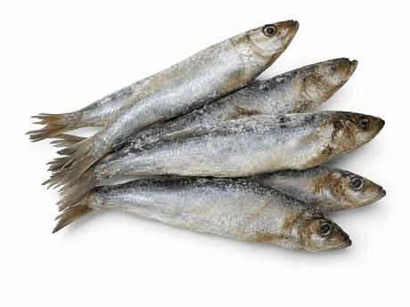 DAF Raw Herring 1kg ❄ Durham Animal Feeds 
