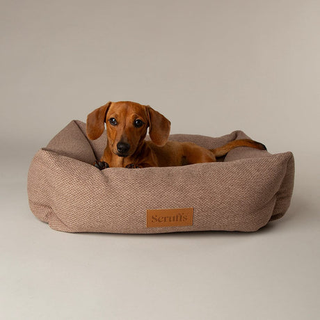 Scruffs Seattle Dog Box Bed XL - Sienna Brown