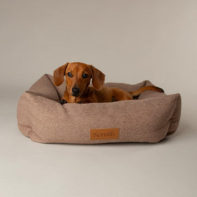 Scruffs Seattle Dog Box Bed M - Sienna Brown