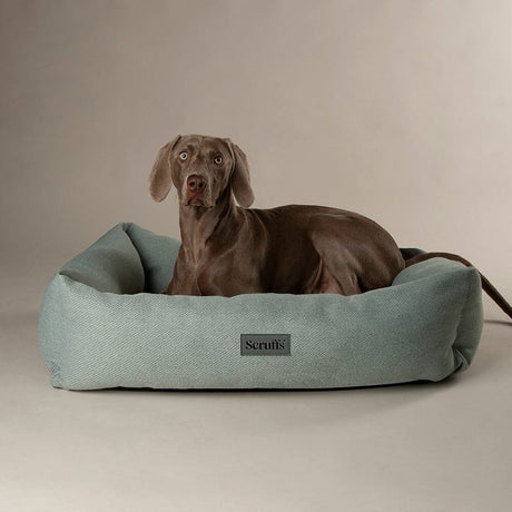 Scruffs Seattle Dog Box Bed XL - Topaz Green