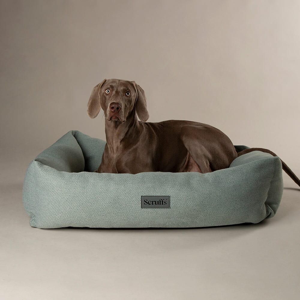 Scruffs Seattle Dog Box Bed M - Topaz Green