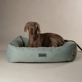 Scruffs Seattle Dog Box Bed M - Topaz Green