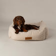 Scruffs Bouclé Dog Box Bed M - Ivory