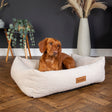 Scruffs Bouclé Dog Box Bed L - Ivory