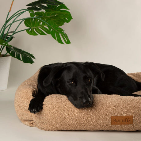 Scruffs Bouclé Dog Box Bed XL - Desert Brown