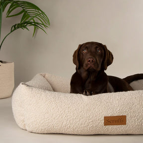 Scruffs Bouclé Dog Box Bed XL - Ivory