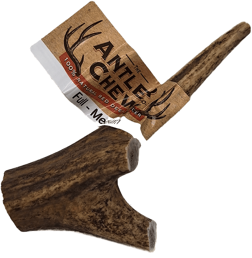 K9 Chew Co Full Antler Natural Dog Chew Medium Dog Treats K9 Chew 