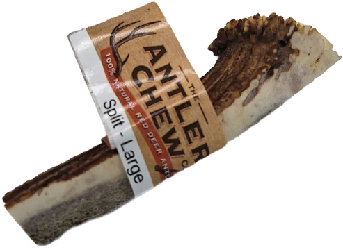 Split Antler Large K9 Chew 