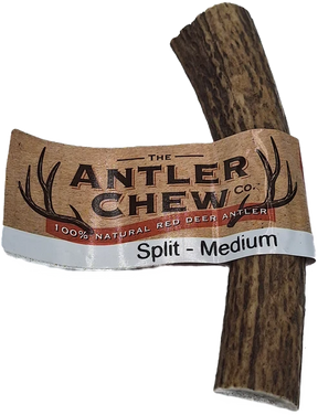 Split Antler Medium K9 Chew 