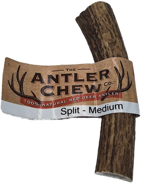 Split Antler Medium K9 Chew 