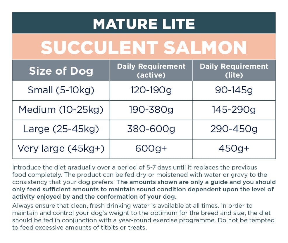 Autarky Mature Lite Salmon Senior & Light Dog Food 12kg Dry Dog Food Autarky 