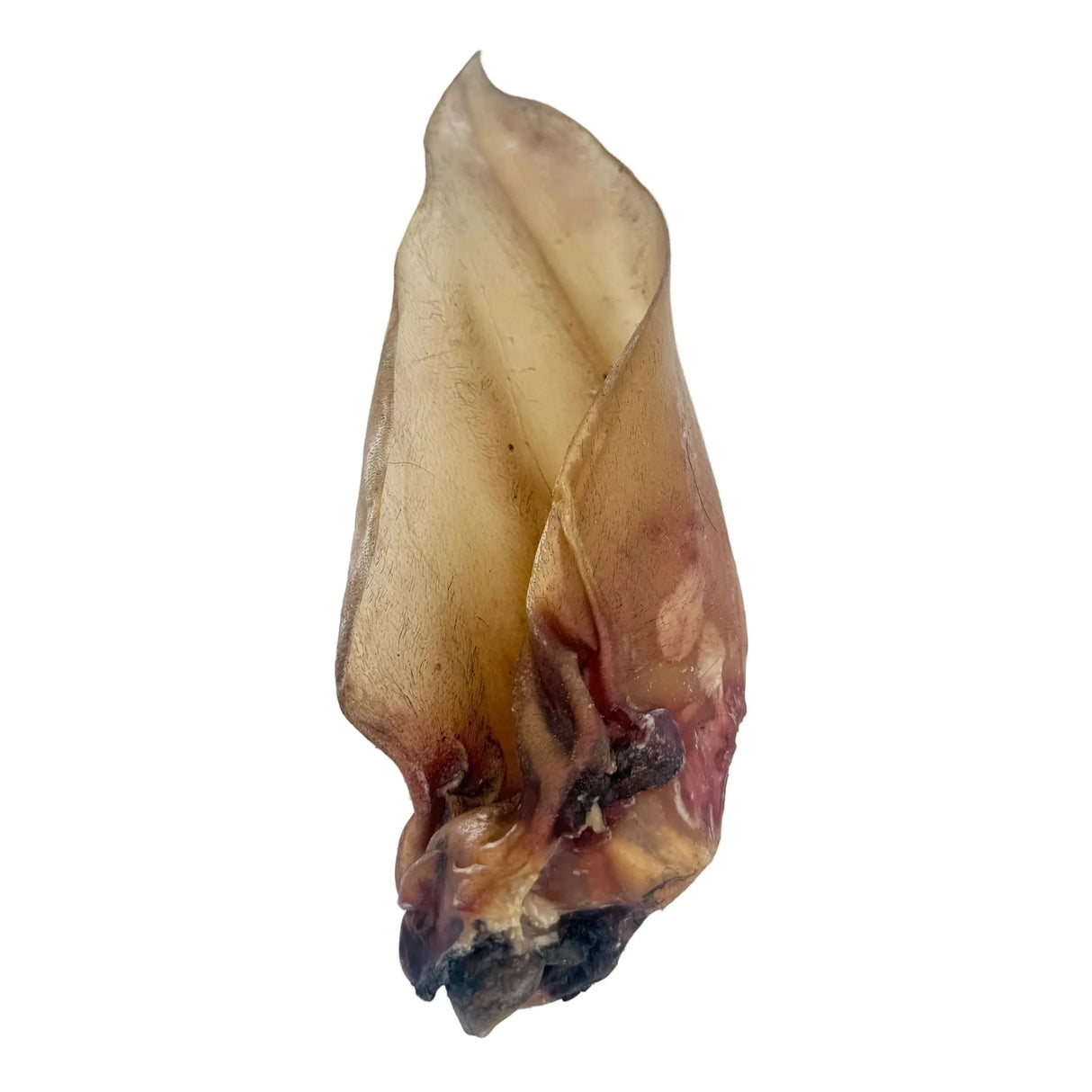 Large Natural Buffalo Ears 12 Pack Bradlands 