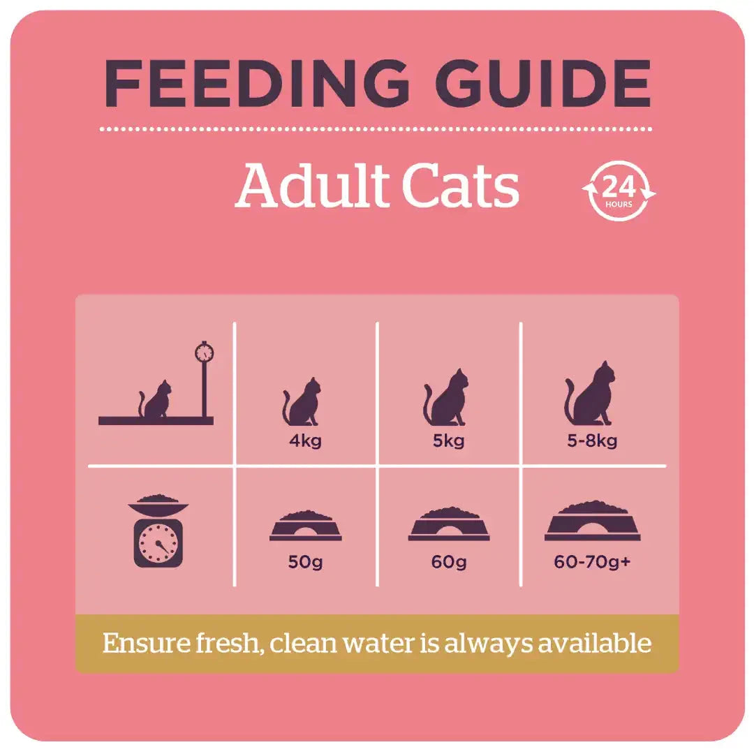 Burgess Cat Adult Chicken & Duck 4kg Burgess 