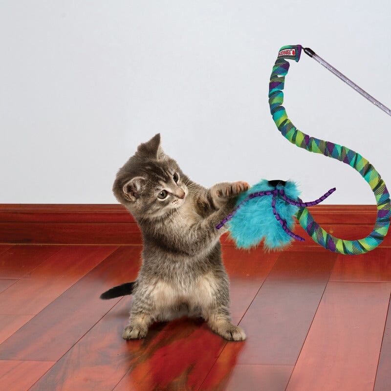 KONG Curlz Teaser Cat Toys Kong 