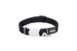 Red Dingo Kitten Collar Classic Classic Black XXS Red Dingo 