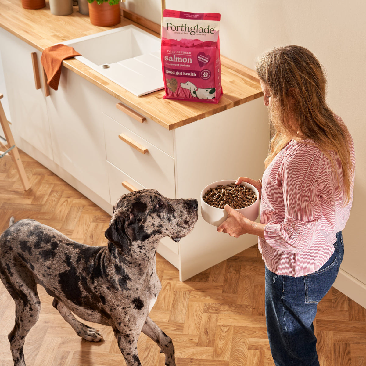 Forthglade Cold Pressed Salmon Grain Free Dry Dog Food 6kg Dry Dog Food Forthglade 