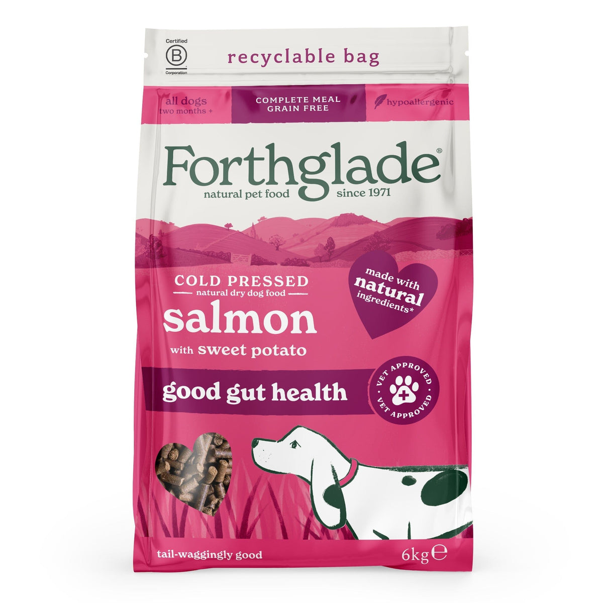 Forthglade Cold Pressed Salmon Grain Free Dry Dog Food 6kg Dry Dog Food Forthglade 