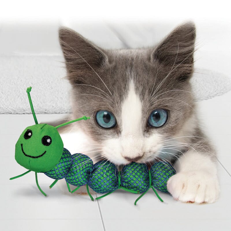 KONG Cat Nibble Critter Caterpillar Cat Toys KONG 