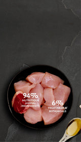 Canagan Chicken with Beef Wet Cat Food 75g Wet Cat Food Canagan 