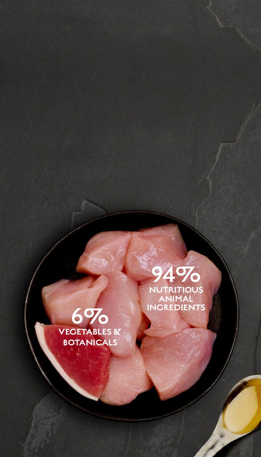 Canagan Chicken with Ham Wet Cat Food 75g Wet Cat Food Canagan 