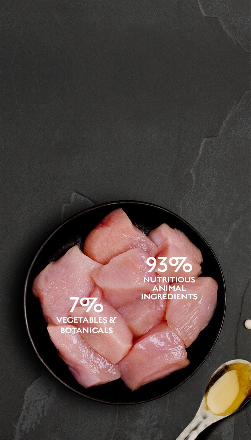 Canagan Fresh Chicken Wet Cat Food 75g Wet Cat Food Canagan 
