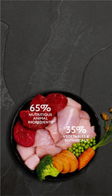 Canagan Chicken & Wild Boar Casserole Wet Dog Food 400g Wet Dog Food Canagan 