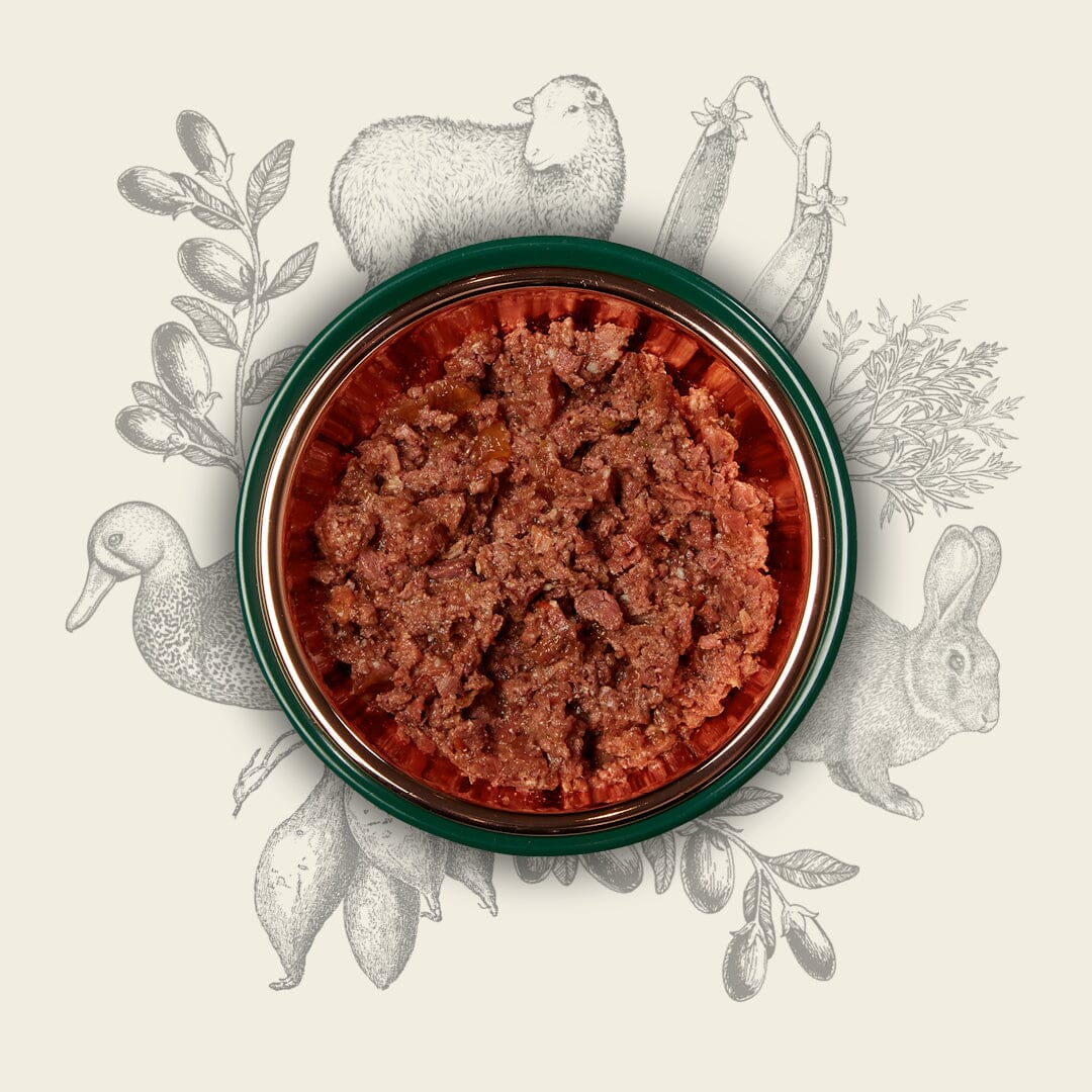 Eden Country Cuisine Wet Cat Food 200g – additional product image 2