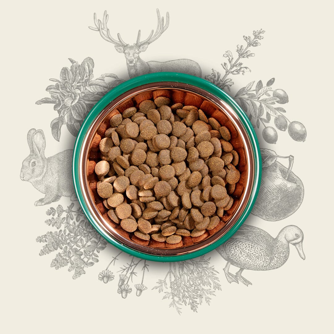 Eden Country Cuisine 80/20 Dry Dog Food 2kg – Medium Kibble Dry Dog Food Eden 