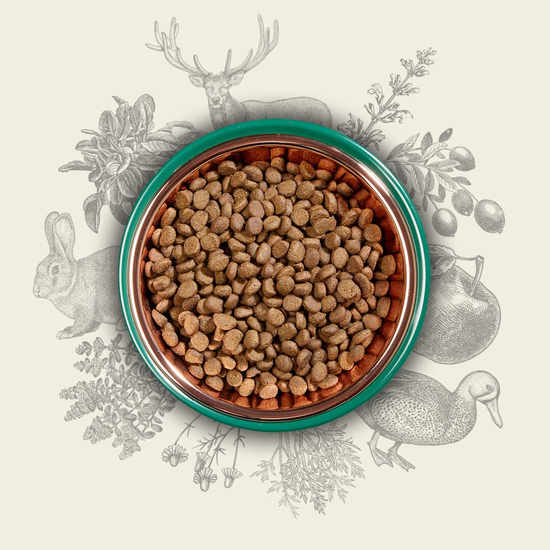 Eden Country Cuisine 80/20 Dry Dog Food 2kg – Small Kibble Dry Dog Food Eden 