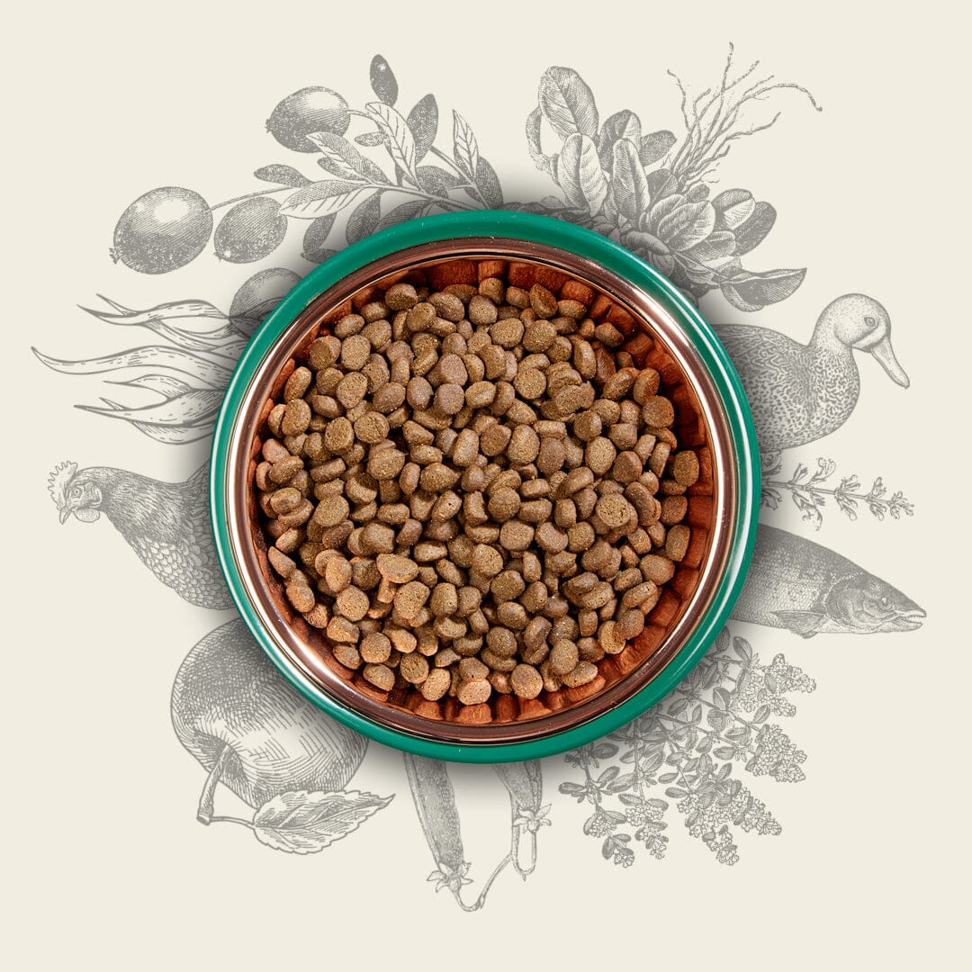 Eden Original Cuisine 80/20 Dry Dog Food 2kg – Small Kibble Dry Dog Food Eden 