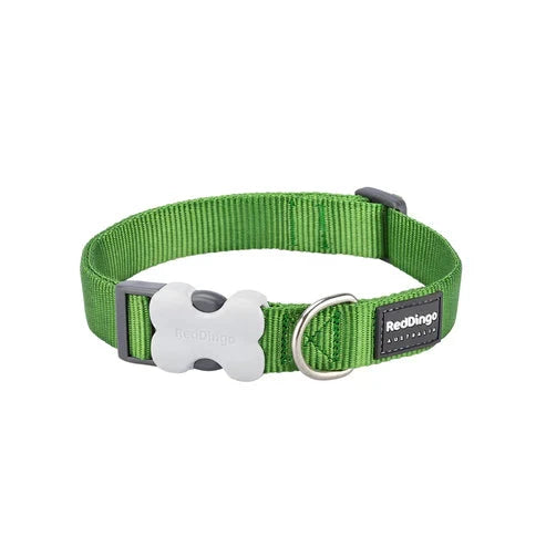 Red Dingo Dog Collar Classic Classic Bradlands Pet Supplies Green XS 