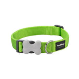 Red Dingo Dog Collar Classic Classic Bradlands Pet Supplies Lime Green XS 