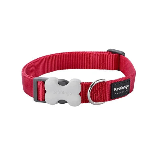 Red Dingo Dog Collar Classic Classic Bradlands Pet Supplies Red XS 