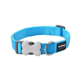Red Dingo Dog Collar Classic Classic Bradlands Pet Supplies Turquoise XS 