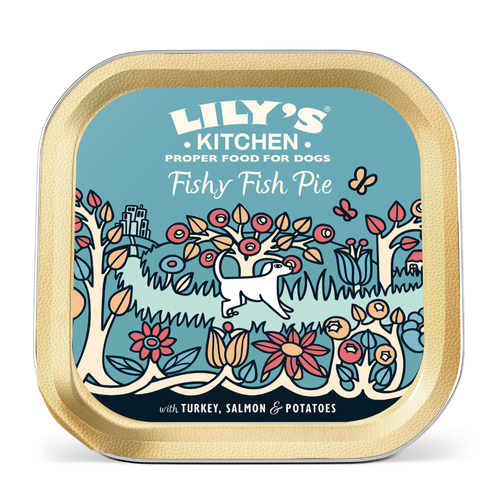 Lily's Kitchen Fishy Fish Pie Wet Dog Food 150g Wet Dog Food Lily's Kitchen 