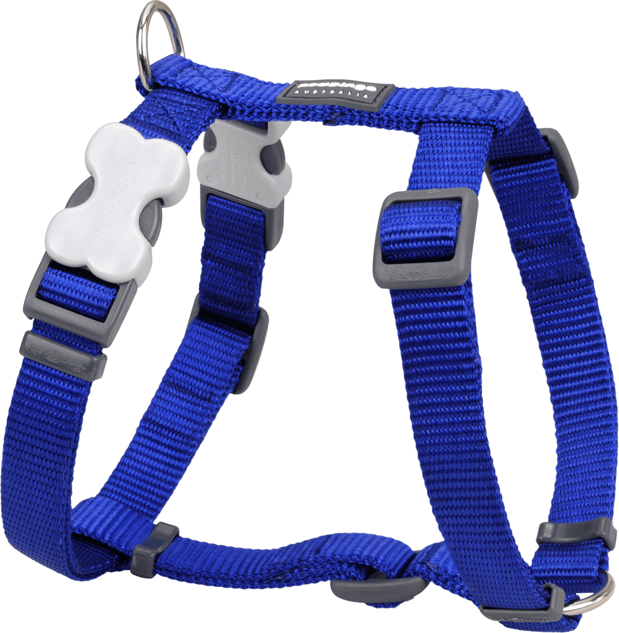 Red Dingo Classic H-Harness Red Dingo Dark Blue XS 