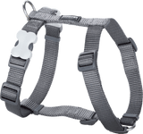 Red Dingo Classic H-Harness Red Dingo Grey XS 