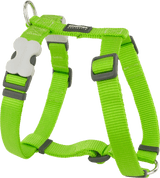 Red Dingo Classic H-Harness Red Dingo Lime Green XS 