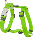 Red Dingo Classic H-Harness Red Dingo Lime Green XS 