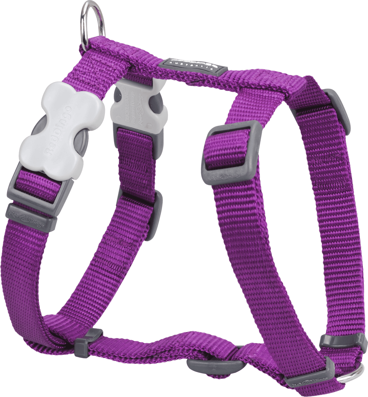 Red Dingo Classic H-Harness Red Dingo Purple XS 