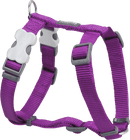 Red Dingo Classic H-Harness Red Dingo Purple XS 