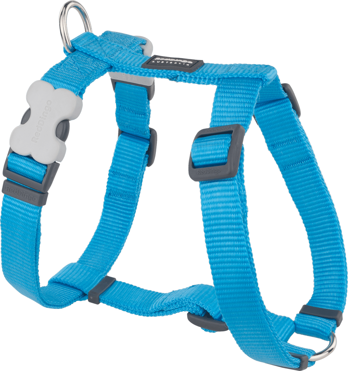 Red Dingo Classic H-Harness Red Dingo Turquoise XS 