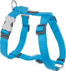 Red Dingo Classic H-Harness Red Dingo Turquoise XS 