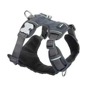 Red Dingo Padded Harness Red Dingo XS Cool Grey 