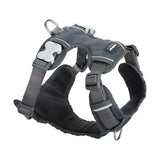 Red Dingo Padded Harness Red Dingo Small Cool Grey 