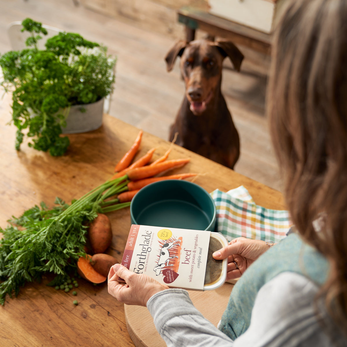 Forthglade Beef with Sweet Potato Wet Dog Food 395g Wet Dog Food Forthglade 