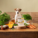 Forthglade Chicken with Butternut Squash Wet Dog Food 395g Wet Dog Food Forthglade 