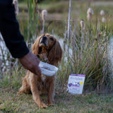 Forthglade Duck with Potato Grain Free Wet Dog Food 395g Wet Dog Food Forthglade 