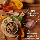 Forthglade Lamb with Butternut Squash Wet Dog Food 395g Wet Dog Food Forthglade 