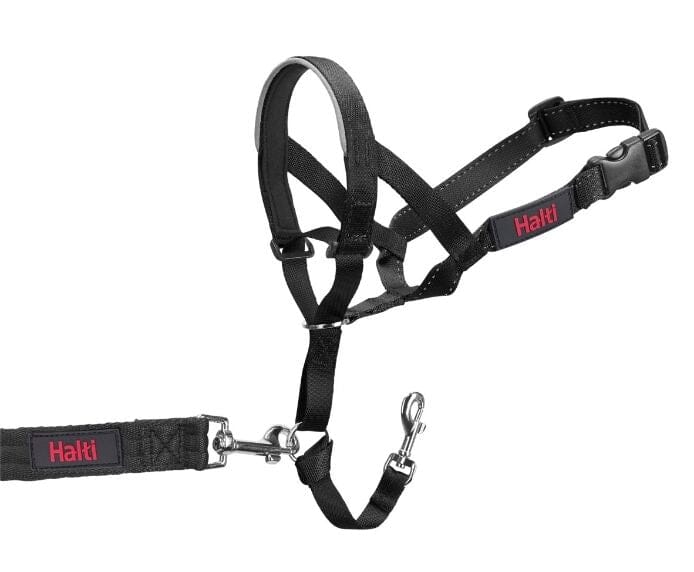 Halti Headcollar Black Company of Animals 